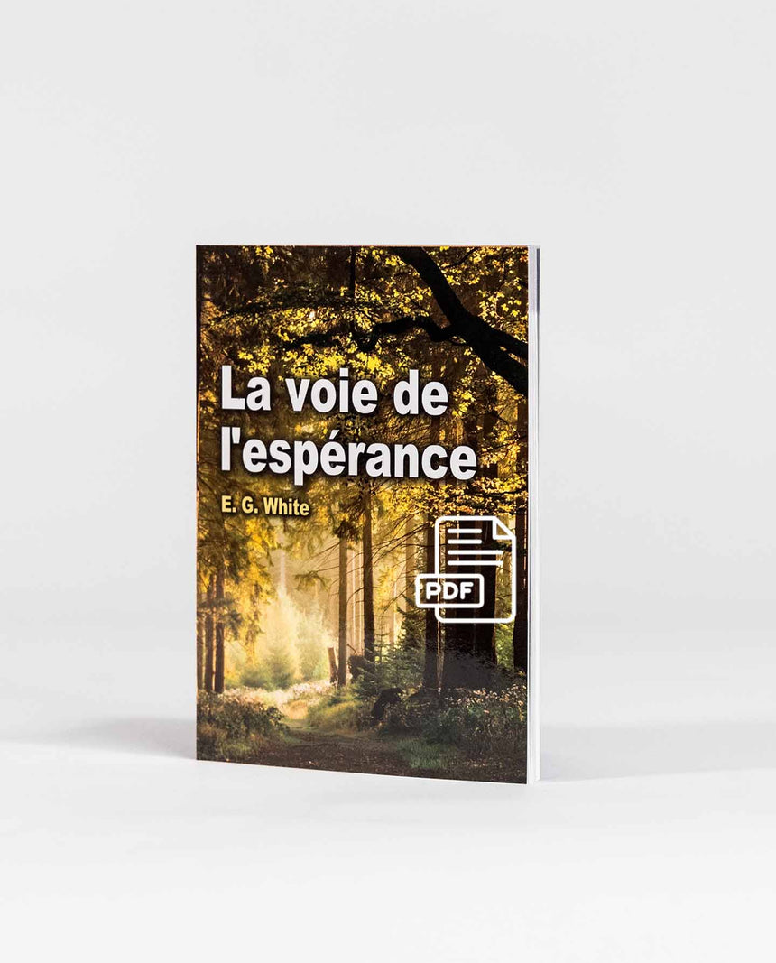 La voie de l'espérance (Vers Jésus) (version électronique)