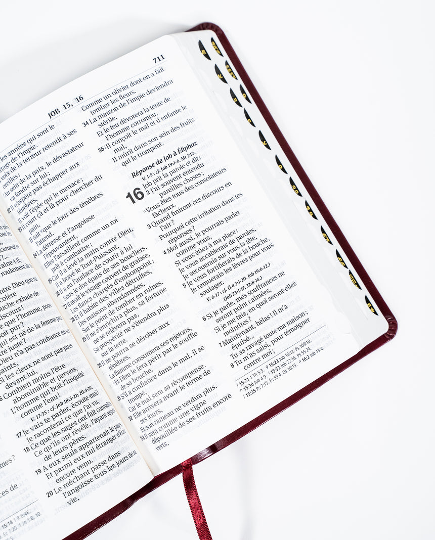 Bible Louis Segond 1910 avec onglets