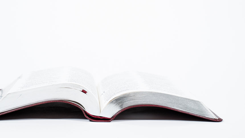 Bible Louis Segond 1910 avec onglets