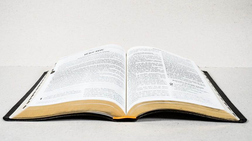 Bible souple avec gros caractères