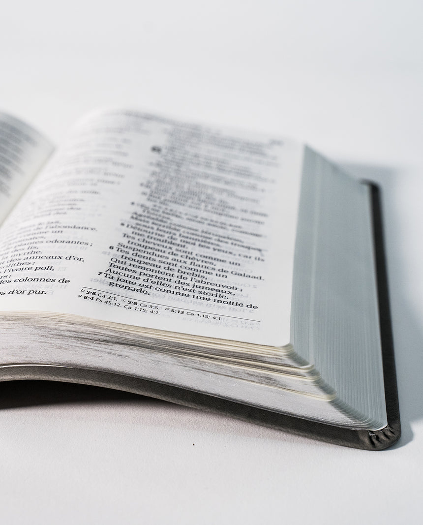 La Bible Louis Segond 1910
