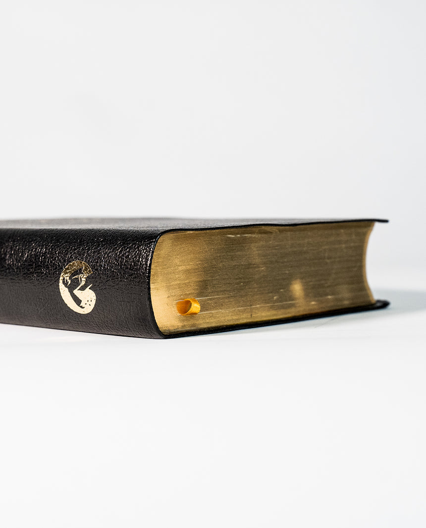Bible souple avec gros caractères