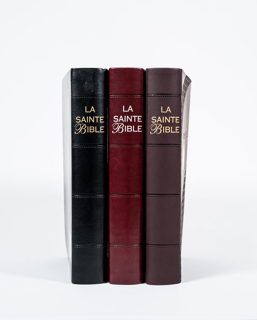 Bible Louis Segond 1910 avec onglets