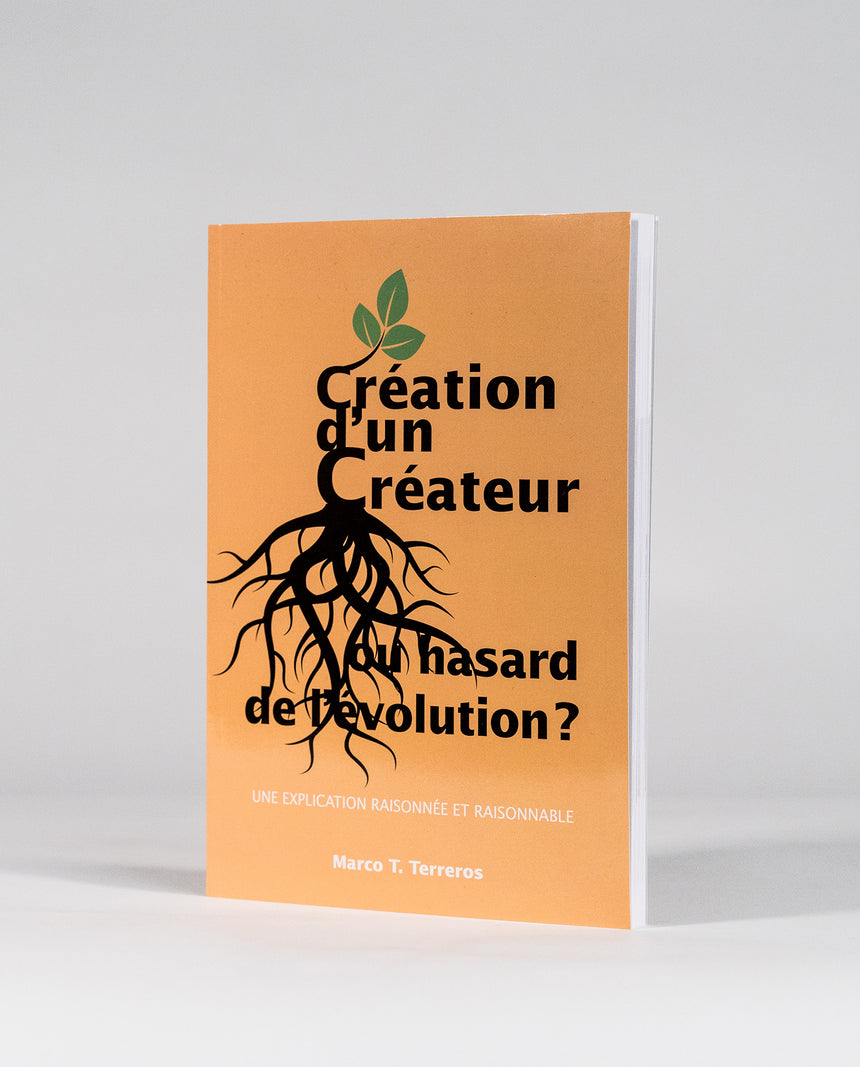 Création d’un créateur ou hasard de l’evolution?